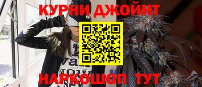 индика Бийск