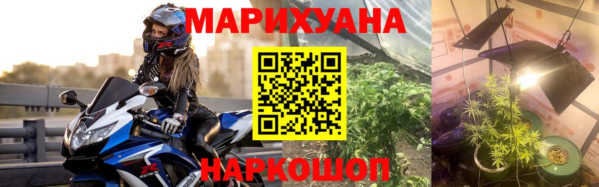 Марихуана тримм  Каннабис план  Бошки Шишки Amnesia  Клин  Вход с VPN 